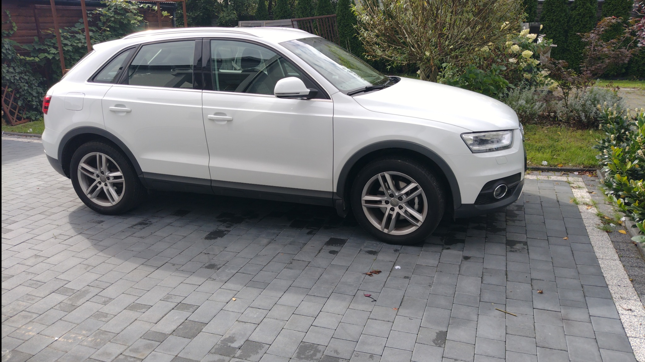 Biały samochód osobowy, Audi Q3, zaparkowany na kostce brukowej, widok z boku, na tle zieleni ogrodowej. Auto czyste, zadbane, felgi aluminiowe.