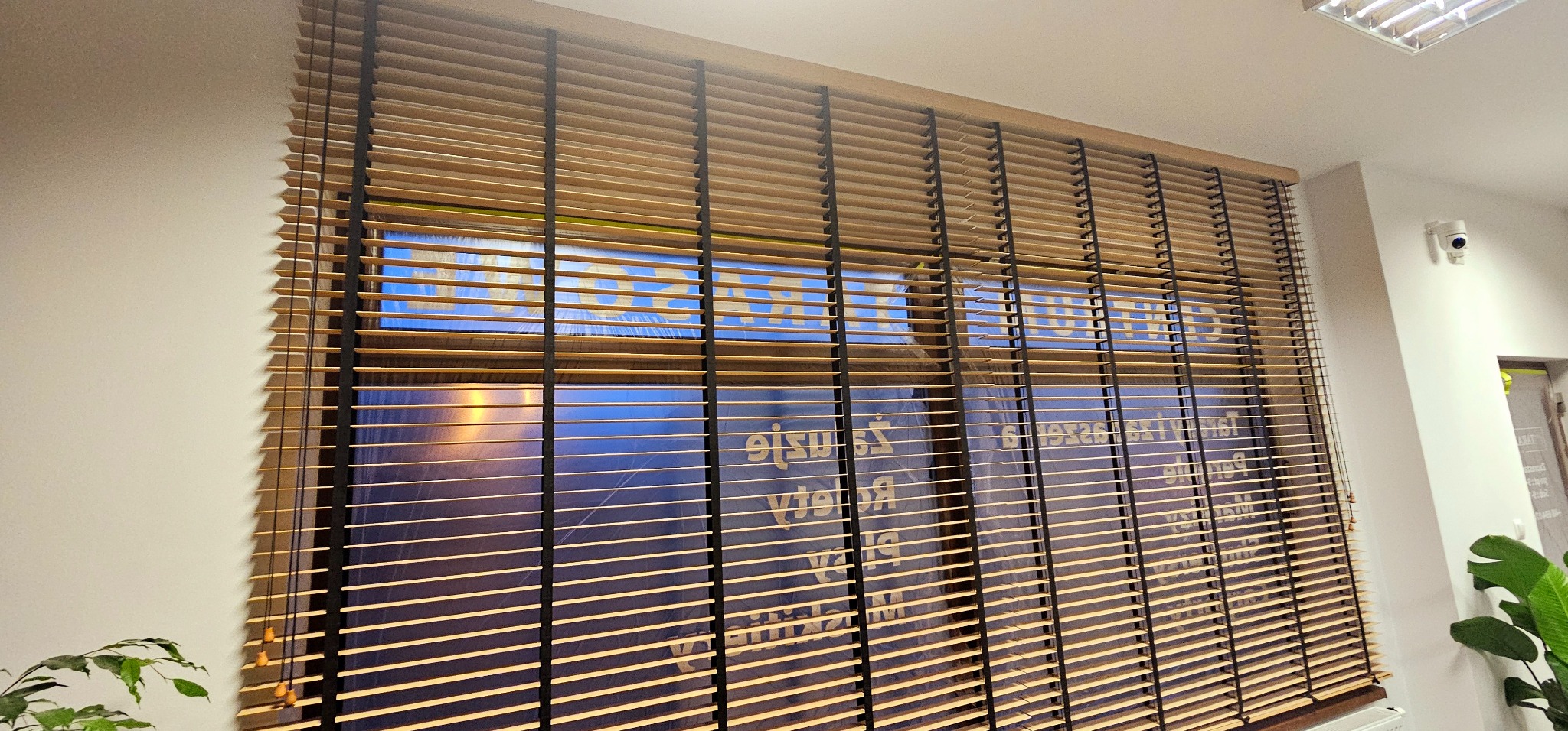 Zaluzja bambusowa w kolorze graham z czarnymi tasmami