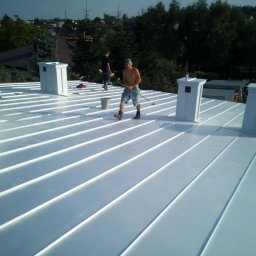 rutkos - Dwóch mężczyzn na dachu z blachy trapezowej, jeden z wiadrem, drugi z kijem, w tle domy i drzewa.