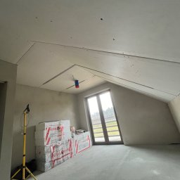 Płyta karton gips Łąka 3