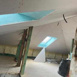 Płyta karton gips Łąka 2