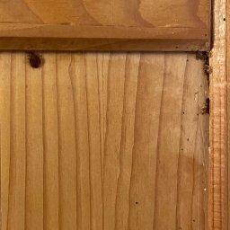 Dezynsekcja i deratyzacja Warszawa 2