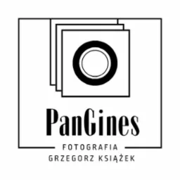 logo dla fotografa