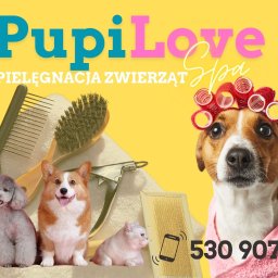 naklejka na szybę dla salonu groomerskiego