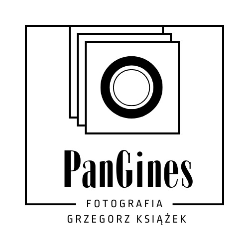 logo dla fotografa