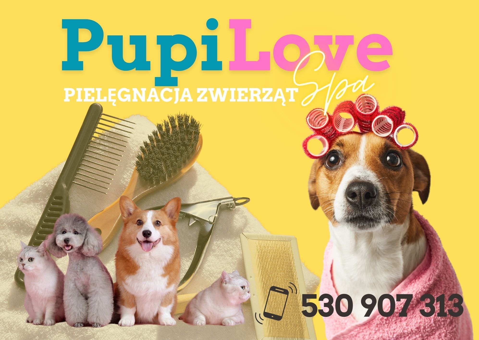 naklejka na szybę dla salonu groomerskiego