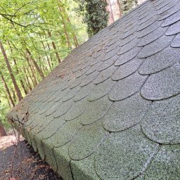 Czyścioch Usługi Sprzątające - Zielony dach pokryty gontem bitumicznym, częściowo porośnięty mchem i zabrudzony liśćmi, na tle lasu. Kąt ujęcia z dołu, widoczne krawędzie dachu.