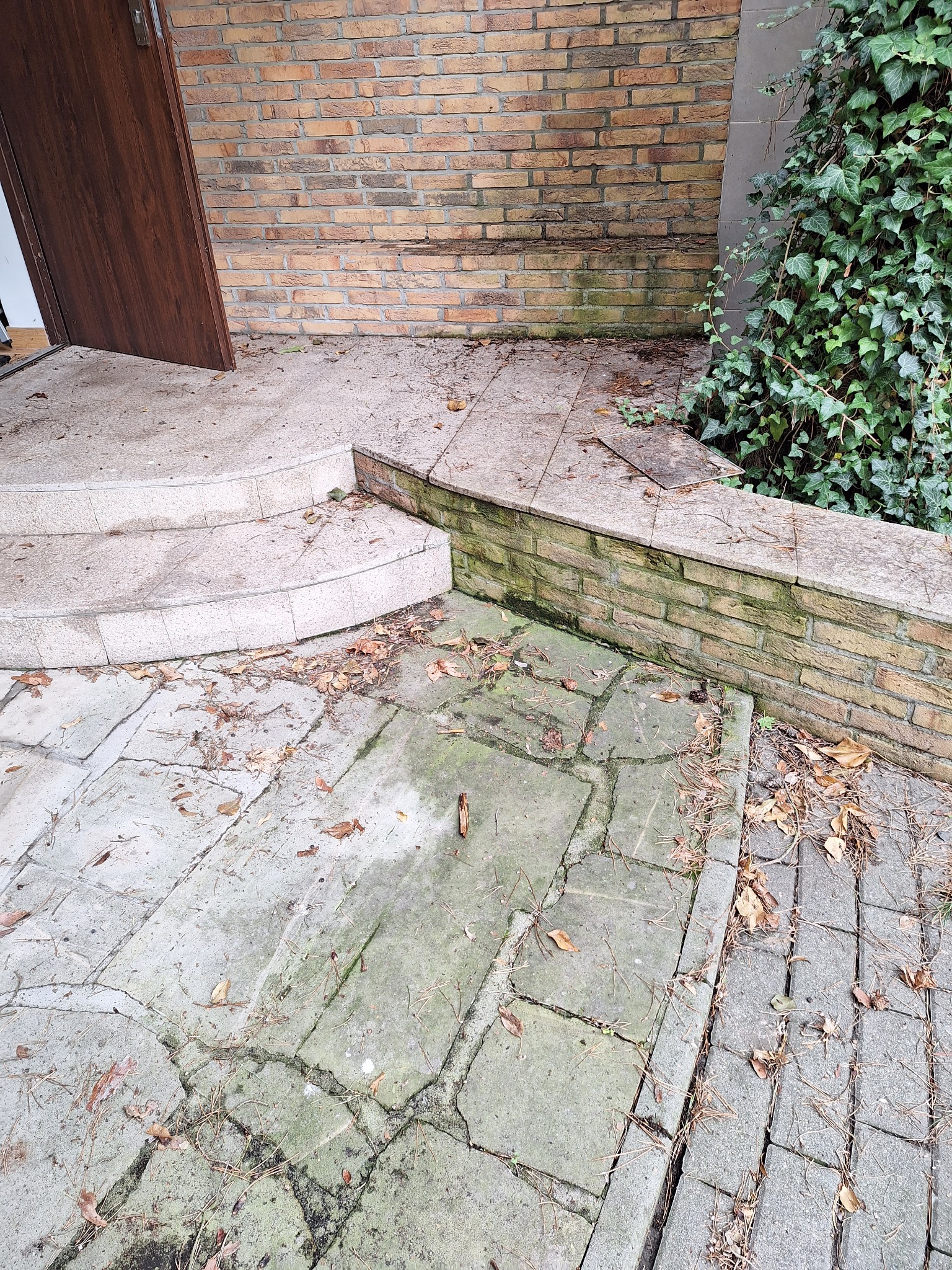 Zaniedbane wejście do budynku z kostką brukową pokrytą mchem i liśćmi, schody z widocznym brudem i porośniętą zielenią. Fragment ceglanej ściany z zabrudzeniami.