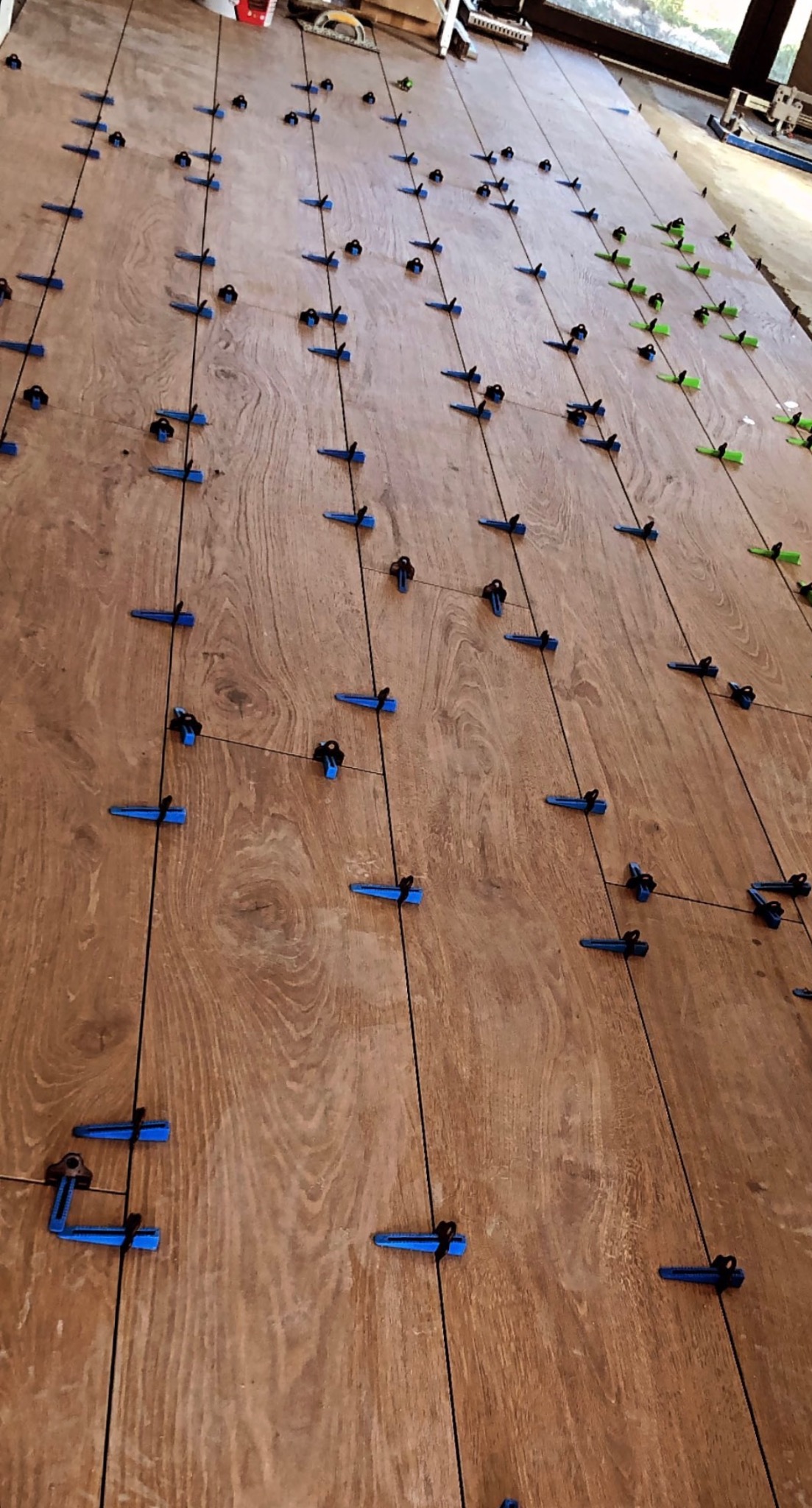 Układanie paneli podłogowych z użyciem systemu poziomowania, widoczne niebieskie i zielone kliny oraz czarne sznurki wyznaczające linie.