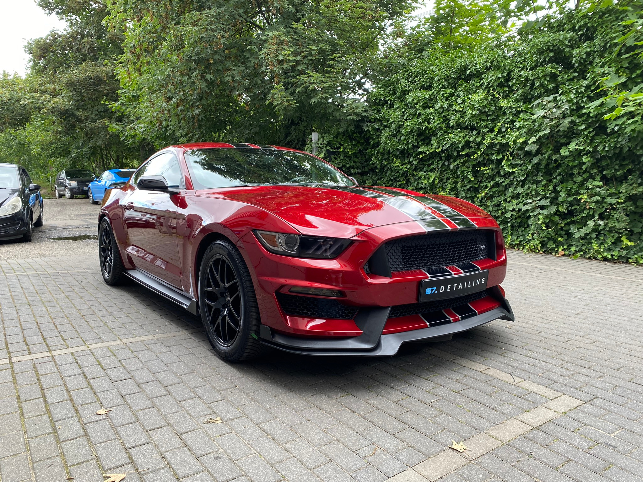 Czerwony Ford Mustang z czarnymi pasami na masce, po detailingu, zaparkowany na kostce brukowej przed zielonym żywopłotem i drzewami.
