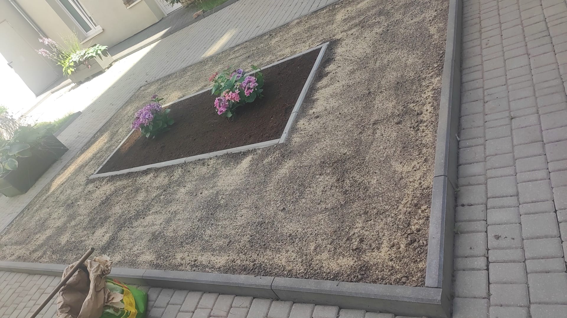 Kwadratowa rabata kwiatowa obłożona szarą kostką brukową, wypełniona ziemią i obsadzona fioletowo-różowymi kwiatami, otoczona brązową korą, widok z góry, obok leżą narzędzia ogrodnicze.