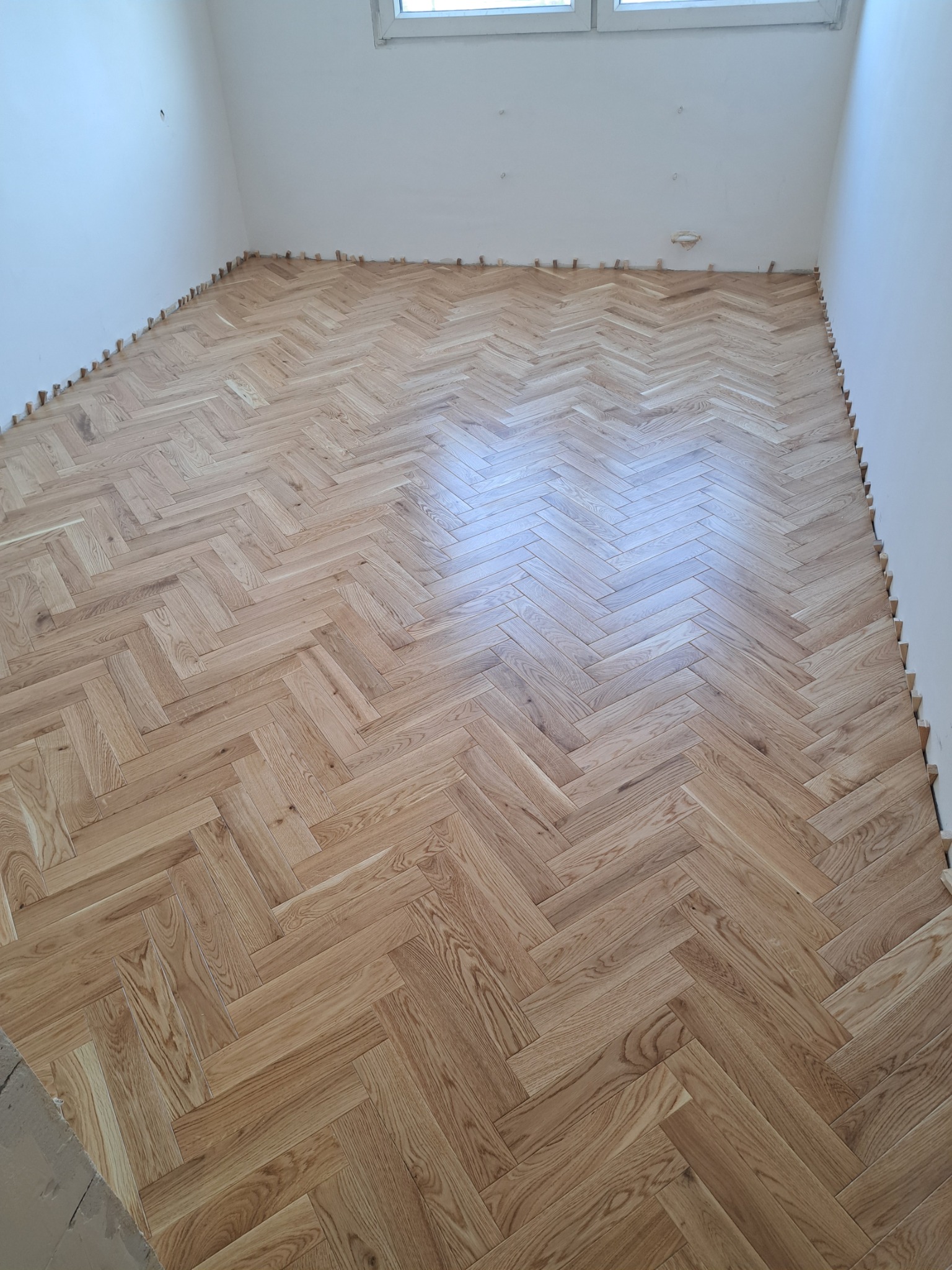 Jodełka klasyczna olejowosk.