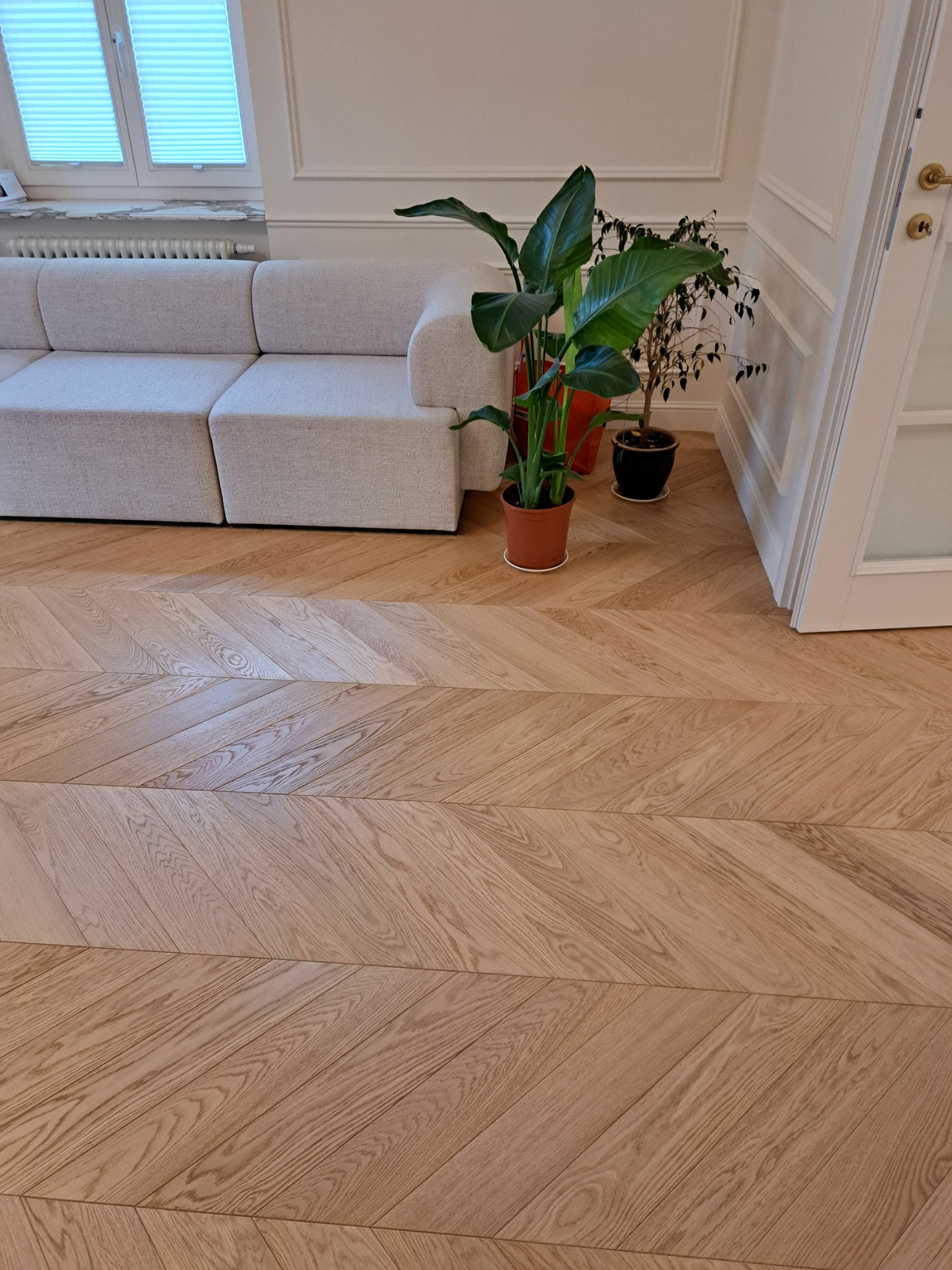 Jasna, drewniana podłoga ułożona we wzór jodełki francuskiej, widoczna z niskiego kąta, z fragmentem szarej sofy i roślinami w doniczkach w tle.