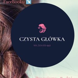 Profesjonalne i dyskretne usuwanie wszawicy na terenie miasta Grudziądz , Toruń i Bydgoszcz .