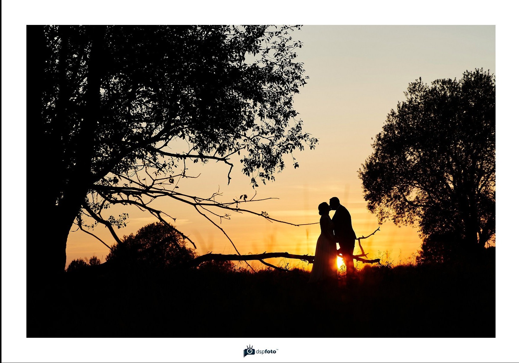 Sylwetki całującej się pary młodej na tle zachodzącego słońca, widoczne przez gałęzie drzew.