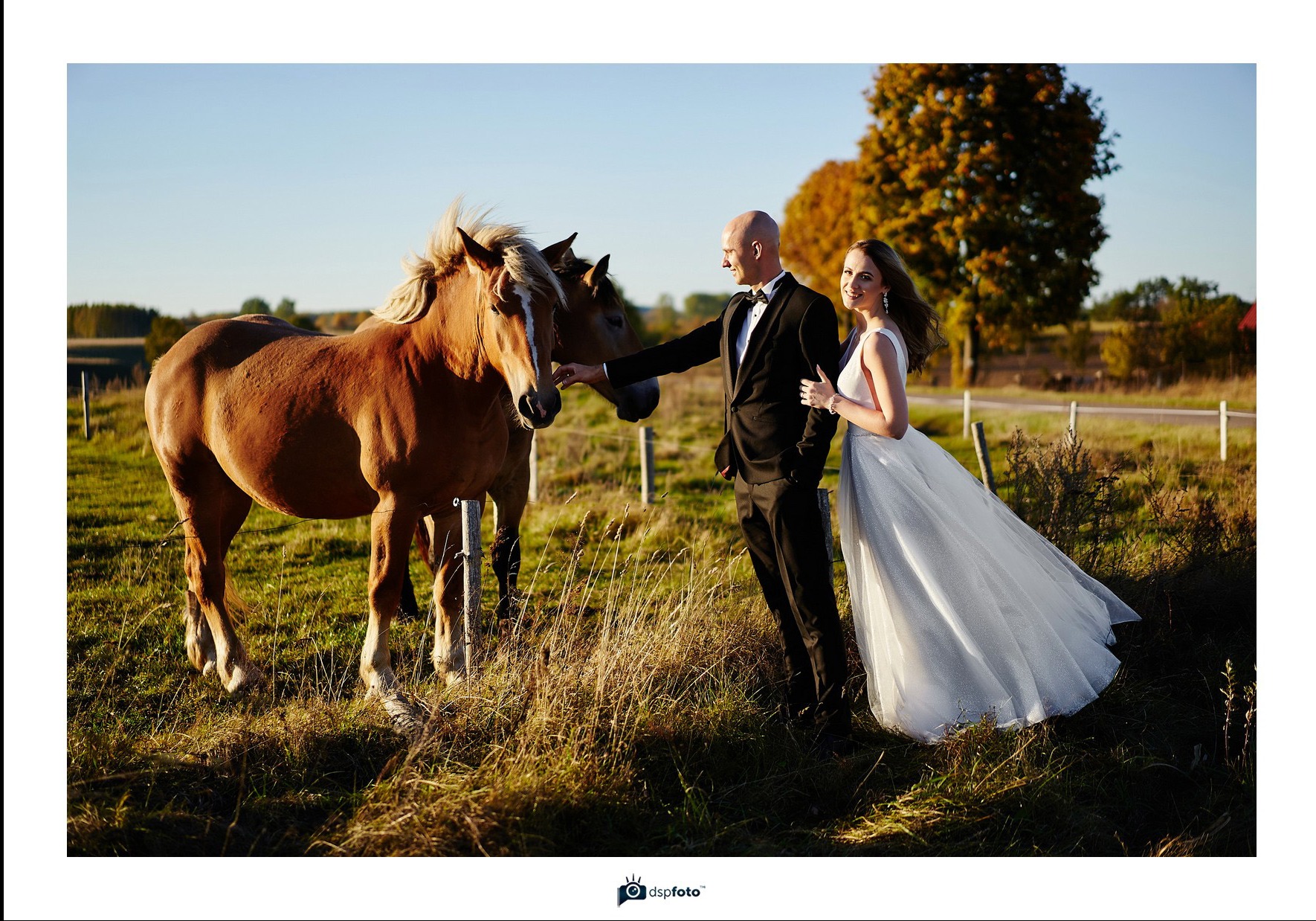 Para młoda w eleganckich strojach pozuje z dwoma końmi na łące w słoneczny dzień, z widocznym jesiennym drzewem w tle.
