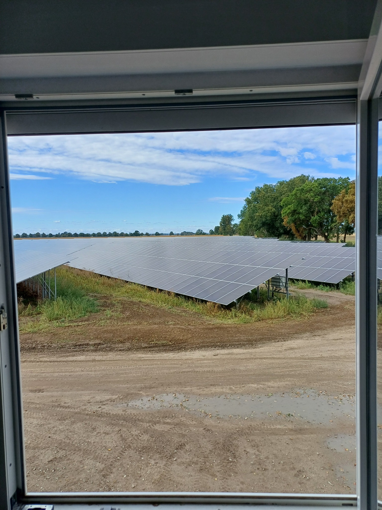 Widok z okna na rozległą farmę paneli słonecznych na zewnątrz, z widocznymi śladami opon na ziemi i rzadką roślinnością.