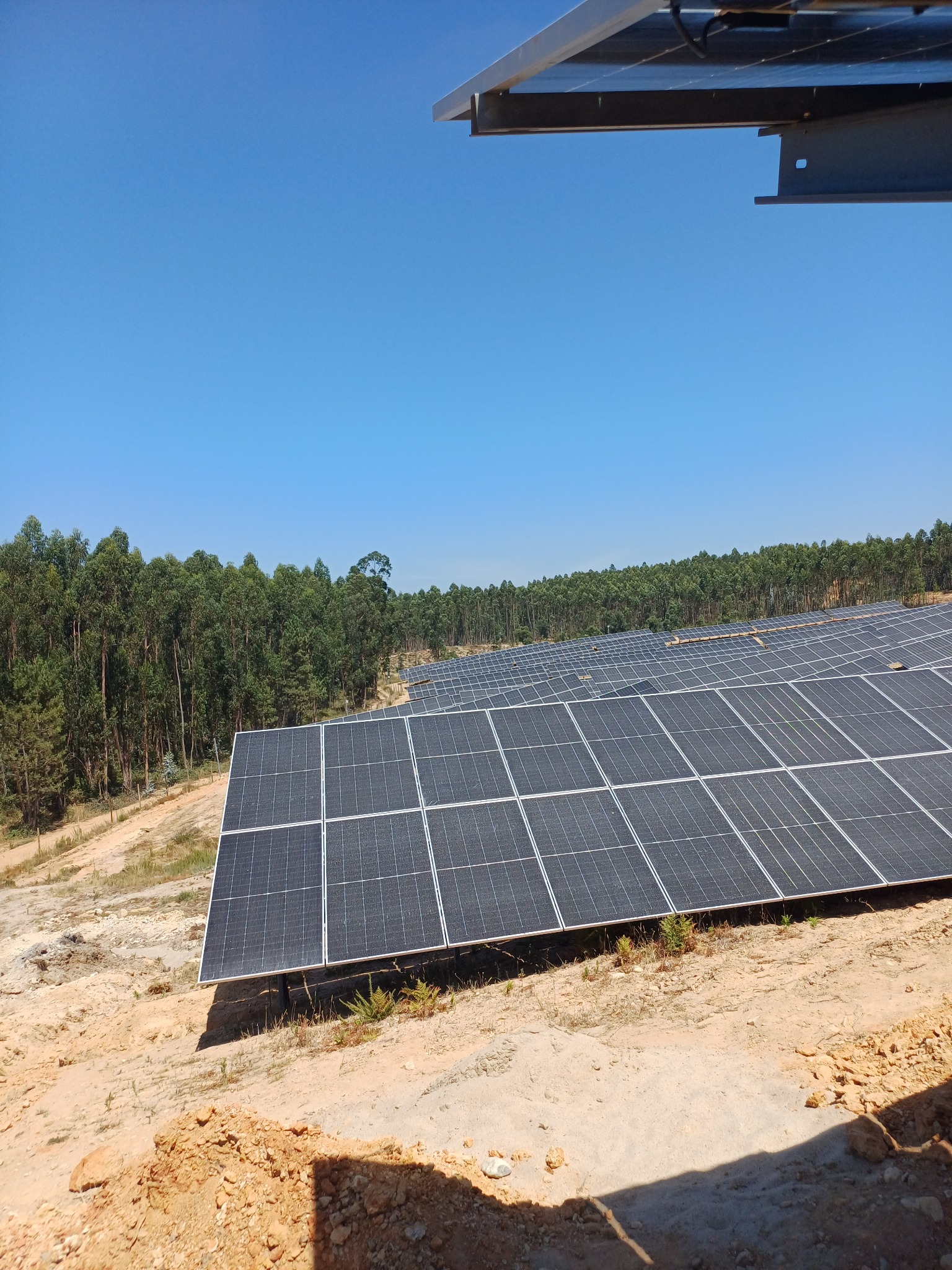 Rozległa farma paneli słonecznych na wzgórzu z lasem w tle, widok z dołu, fragment konstrukcji wsporczej w górnym rogu.