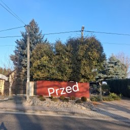 Wycinka drzew Skawina 1