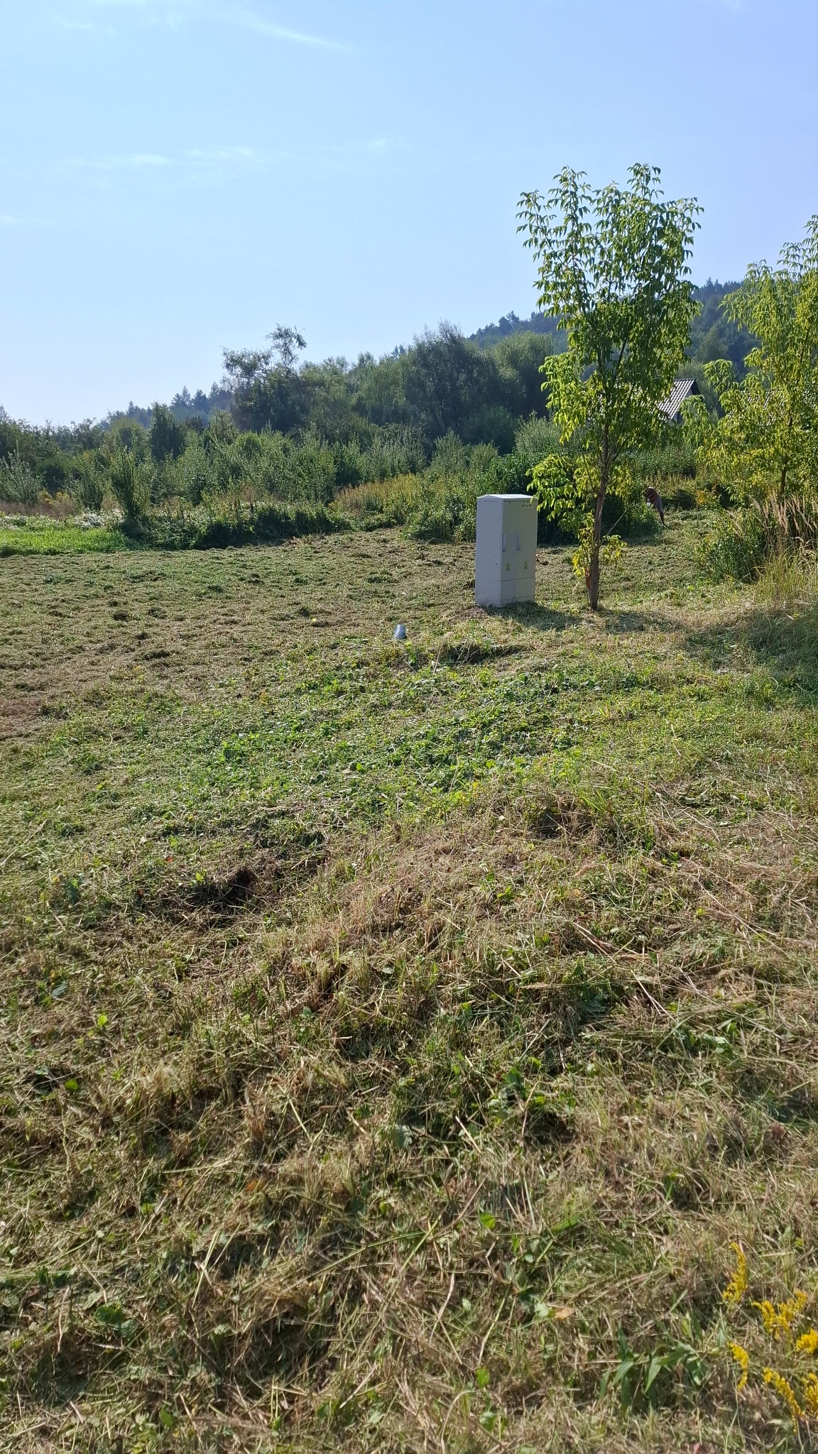 Świeżo skoszona trawa w Skawinie z widoczną szafką elektryczną i młodym drzewem na tle zalesionych wzgórz.