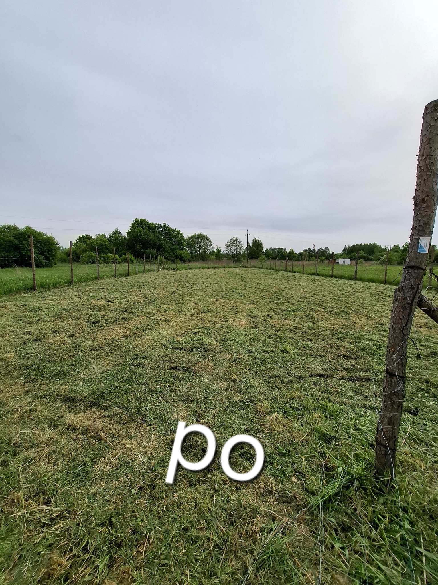 Świeżo skoszona trawa na ogrodzonym terenie, widok z poziomu gruntu, słup ogrodzeniowy z naklejką w prawym rogu, na trawie widoczny napis 'po'.
