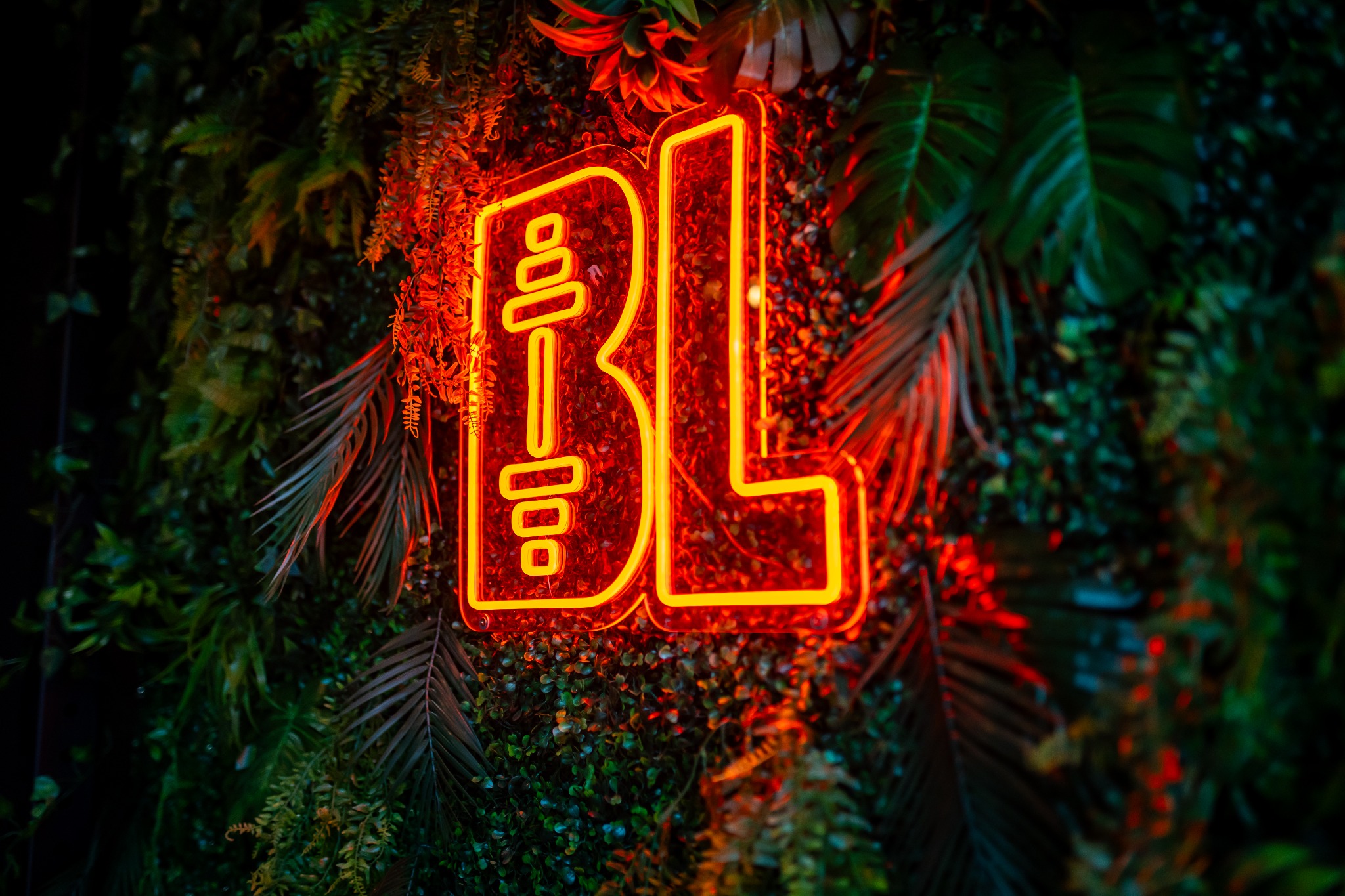 Neonowy napis 'BL' otoczony tropikalną roślinnością, podświetlony ciepłym, czerwonym światłem.