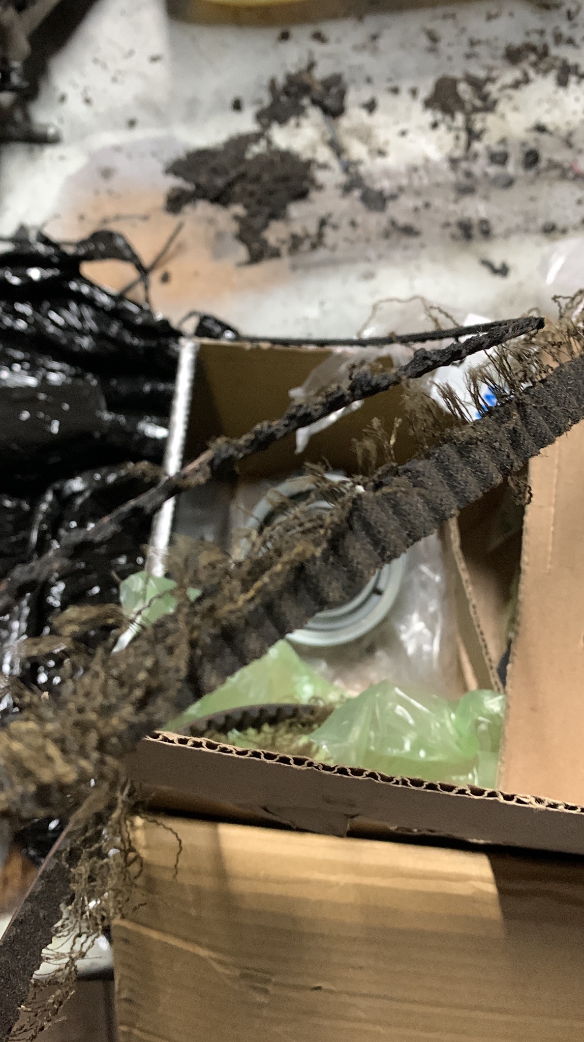 Zużyty, postrzępiony pasek zębaty leżący na krawędzi kartonowego pudełka, obok czarnego przewodu i brudnej powierzchni.