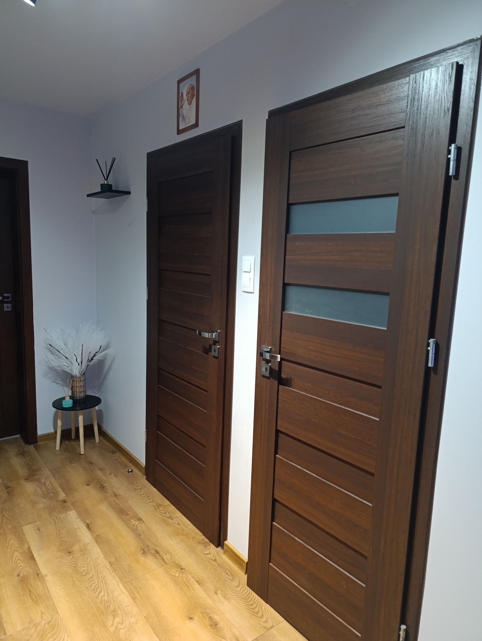 Dwie ciemnobrązowe, nowoczesne drzwi wewnętrzne z poziomymi panelami, jedna z przeszkleniami, zamontowane w jasnym korytarzu z drewnianą podłogą i dekoracjami.