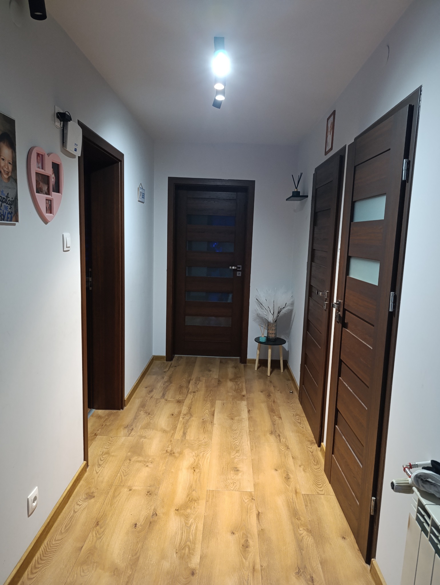 Korytarz z trzema parami ciemnobrązowych drzwi z przeszkleniami, podłoga wyłożona panelami w kolorze jasnego drewna, na ścianach dekoracje i oświetlenie punktowe.