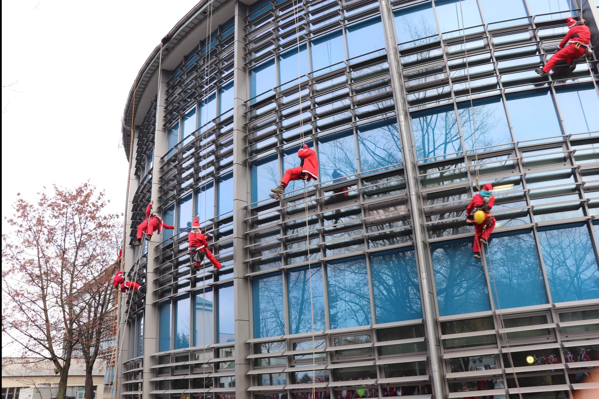 Pracownicy w strojach Świętego Mikołaja myjący okna na wysokościach nowoczesnego biurowca z licznymi oknami, używając lin i uprzęży.