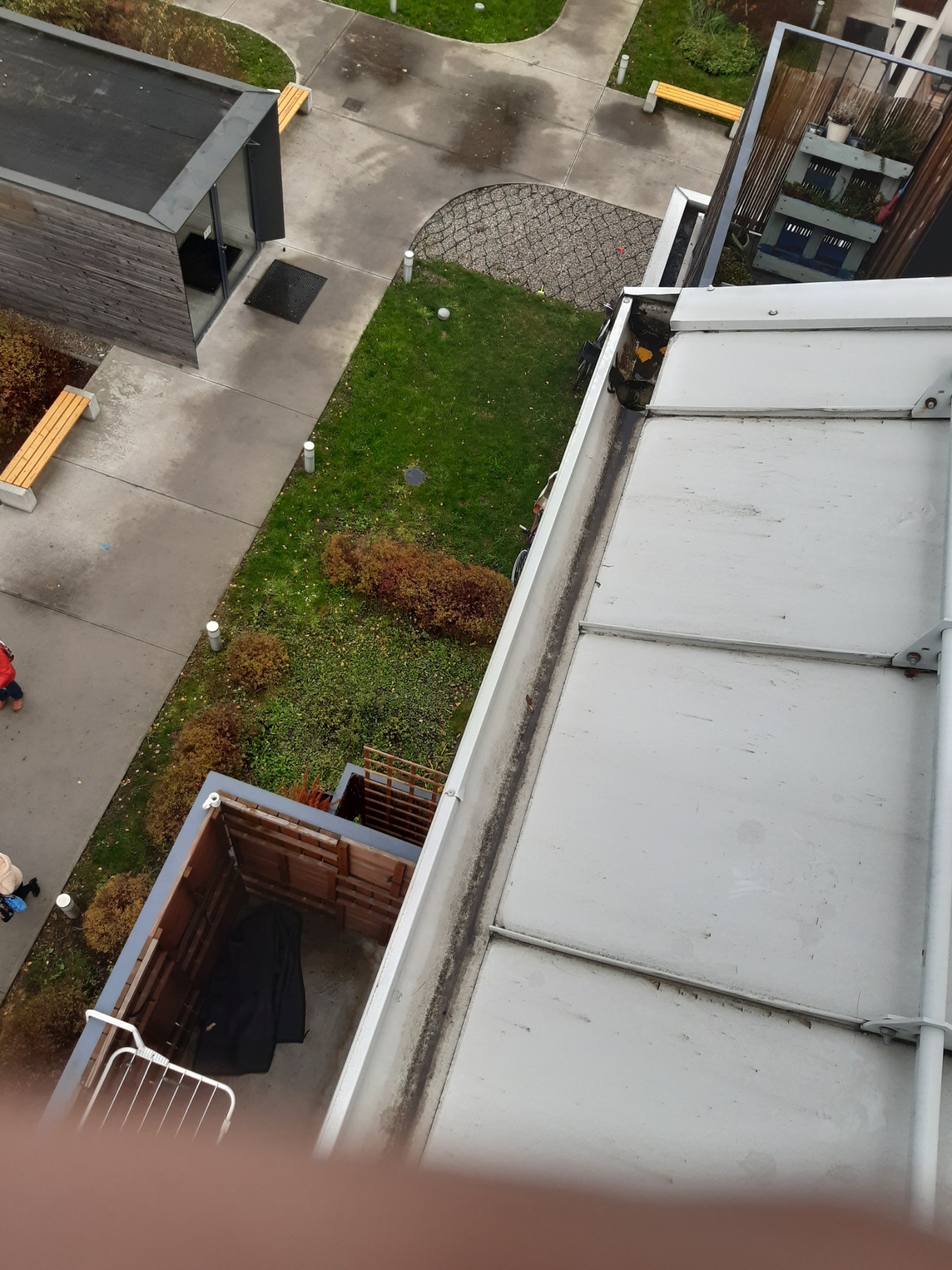 Widok z góry na zabrudzoną rynnę dachową, z widocznymi liśćmi i osadami, na tle fragmentu budynku z balkonem i zielenią miejską.