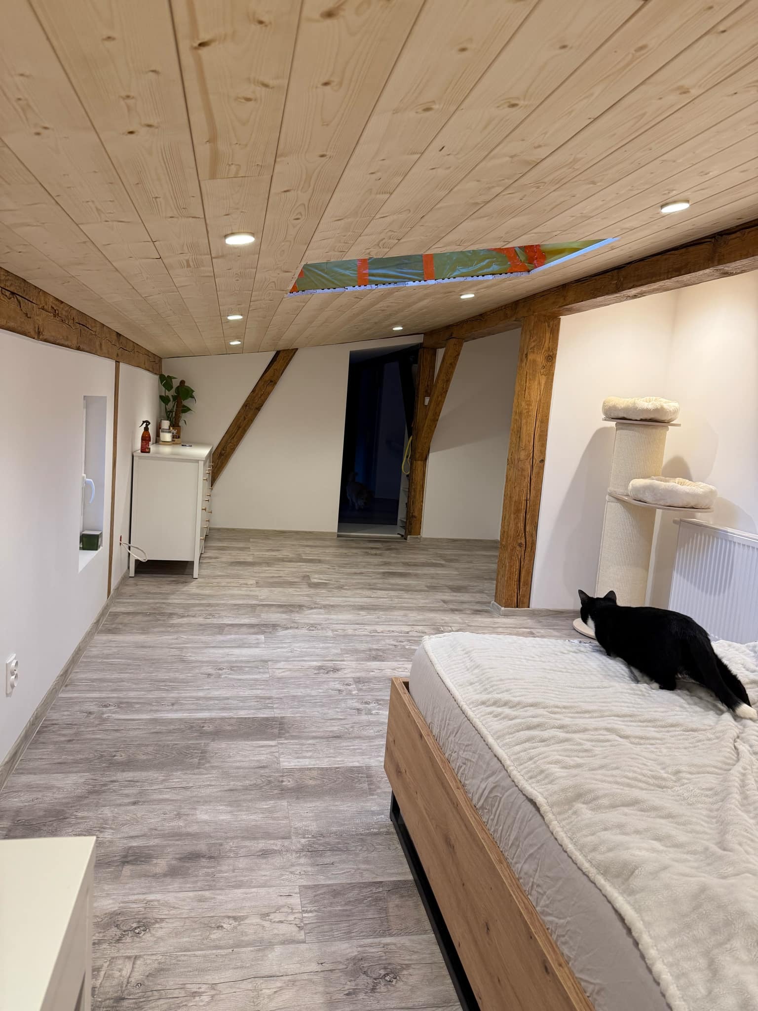 Wykończone wnętrze pokoju z drewnianym sufitem, panelami podłogowymi imitującymi drewno oraz widocznymi belkami konstrukcyjnymi, gdzie czarny kot leży na łóżku.