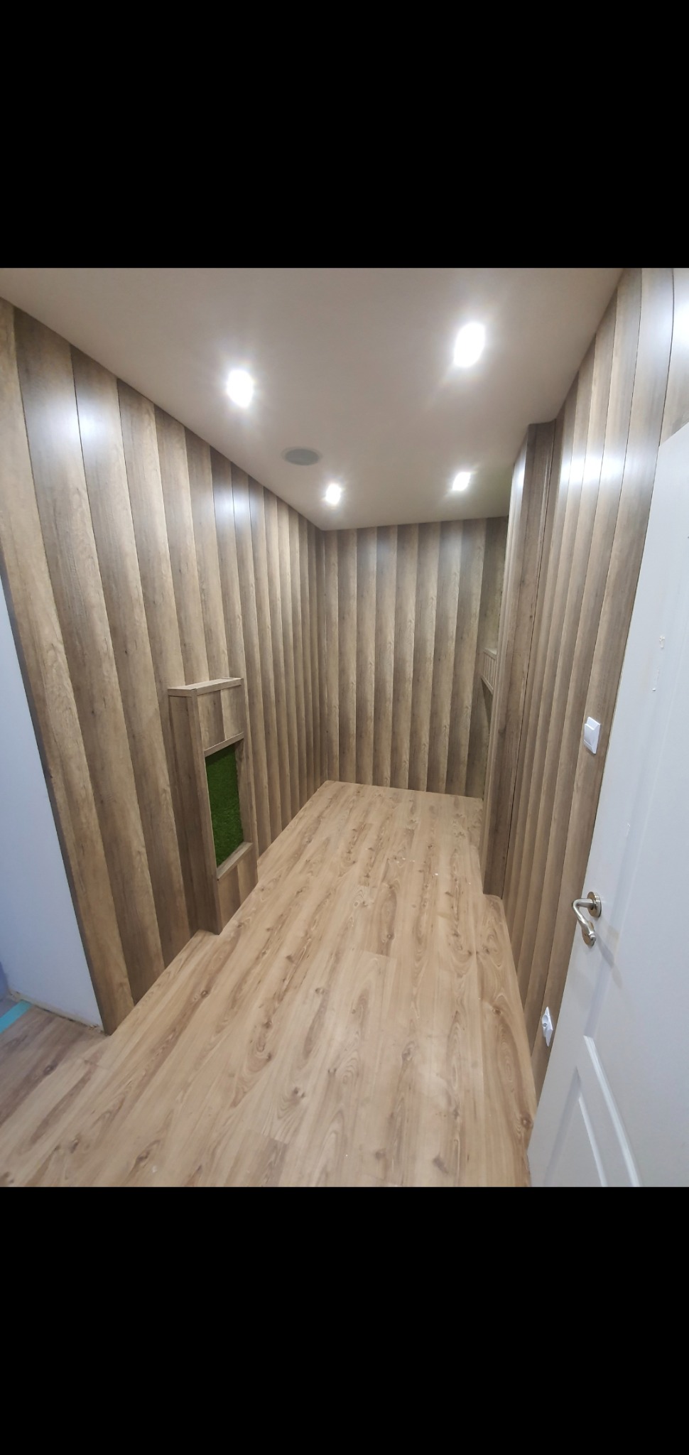 Pusta przestrzeń z panelami ściennymi imitującymi drewno, podłoga wyłożona panelami w podobnym odcieniu, mała wnęka w ścianie z zielonym wypełnieniem, białe drzwi z chromowaną klamką po prawej.