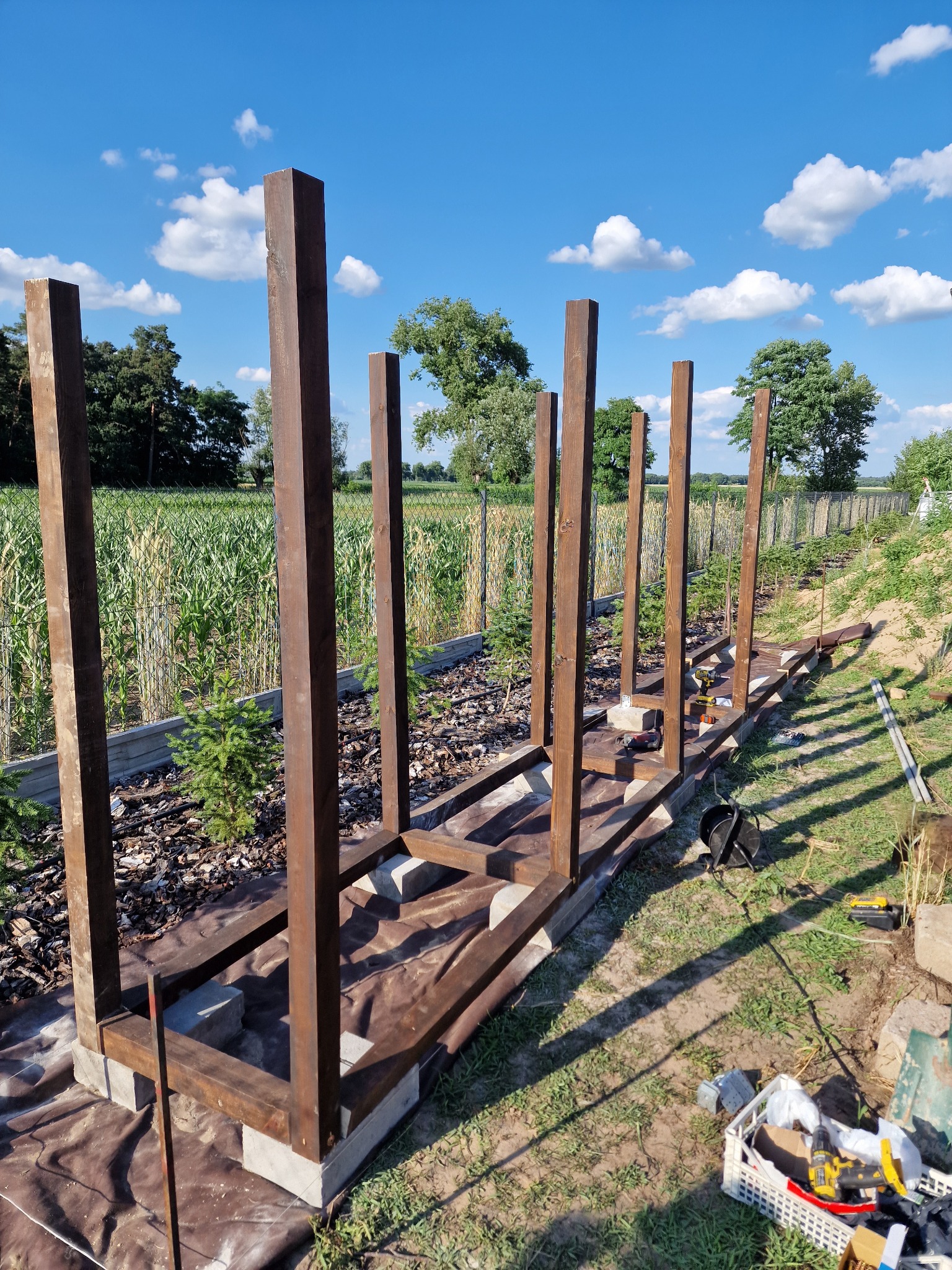 Konstrukcja drewniana z pionowymi słupami, prawdopodobnie altana, w trakcie budowy na działce z widokiem na pole kukurydzy i błękitne niebo z chmurami.