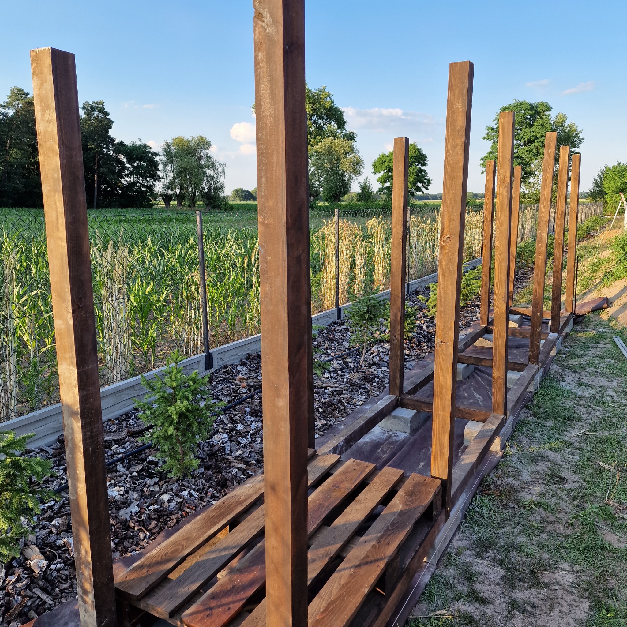 Konstrukcja drewnianej pergoli w ogrodzie, widoczne słupy i podstawa, w tle zielone pole i drzewa.