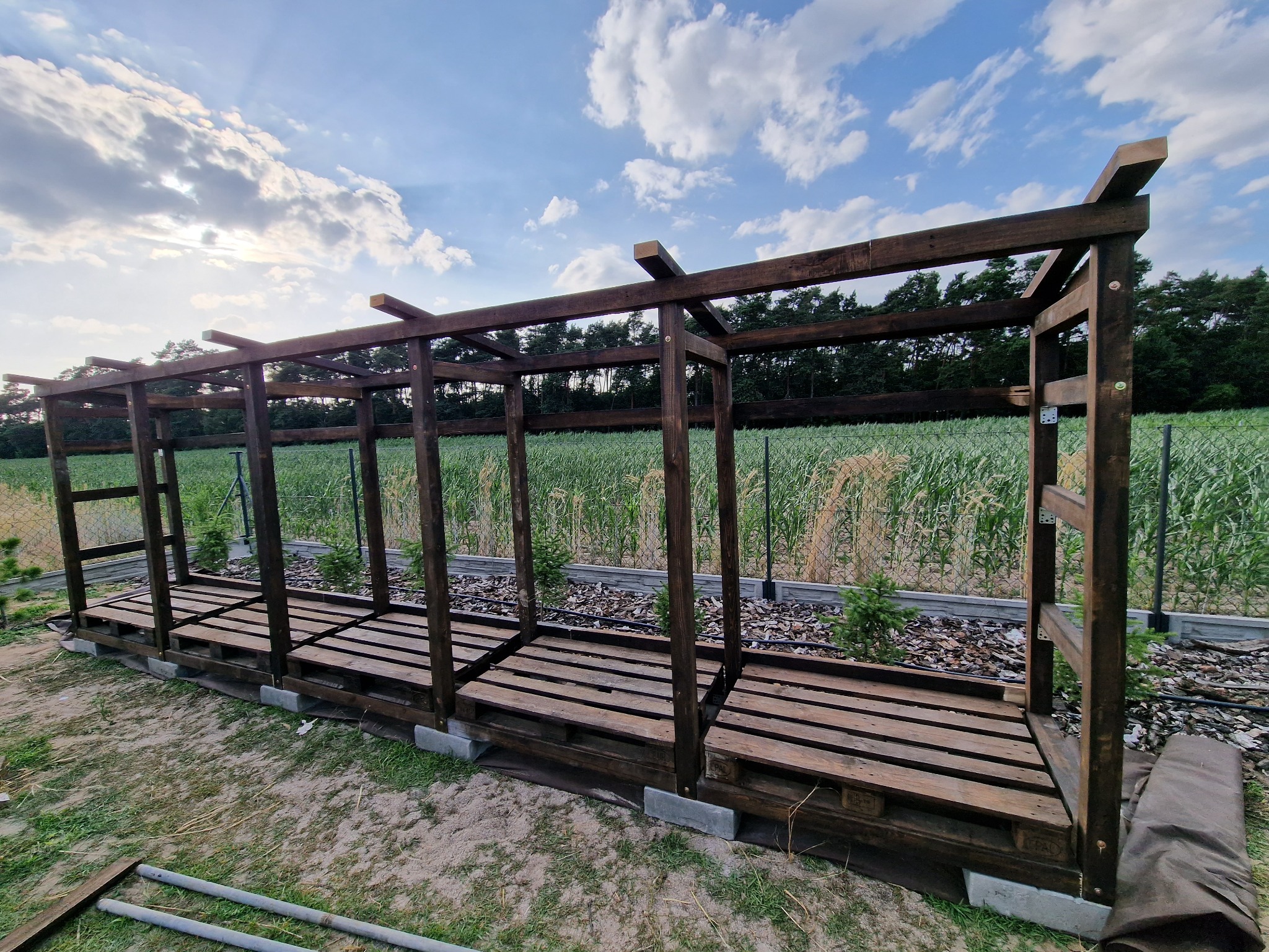 Drewniana konstrukcja z palet na betonowych bloczkach w ogrodzie, widok na pole i las w tle pod błękitnym niebem z chmurami.