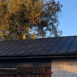 USŁUGI DEKARSKIE IRENEUSZ SUWAŁA - Czarny dach z blachy na budynku z cegły, z drabiną opartą o rynnę i drzewami z jesiennymi liśćmi w tle, widziany w słoneczny dzień.