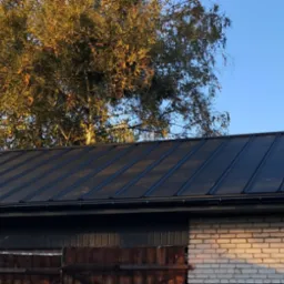 Czarny dach z blachy na budynku z cegły, z drabiną opartą o rynnę i drzewami z jesiennymi liśćmi w tle, widziany w słoneczny dzień.