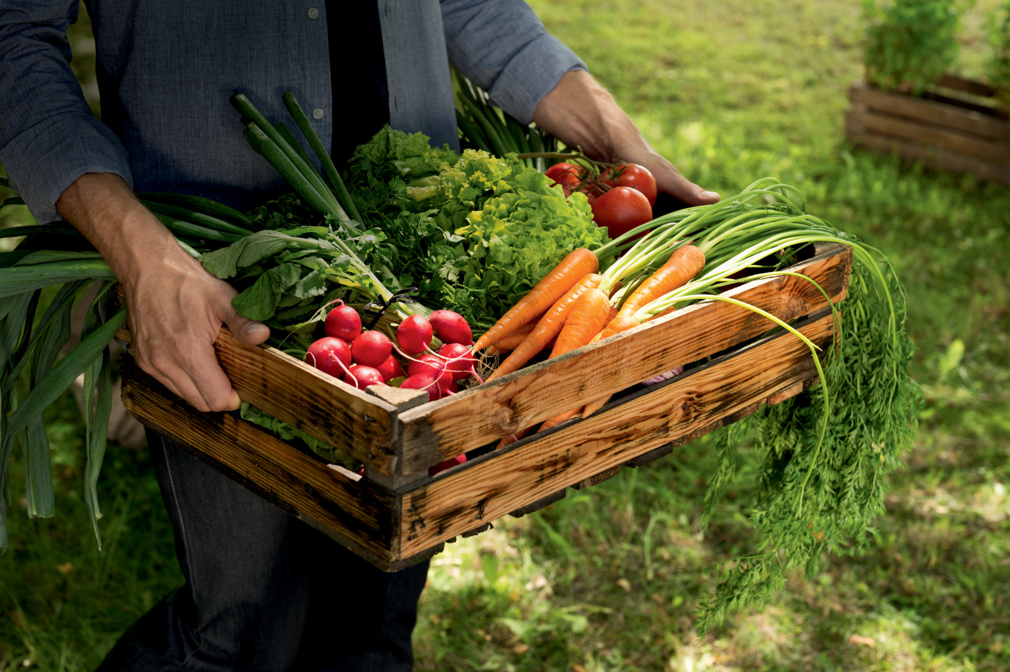 Zdjęcia produktowe dla marki Kaufland.
