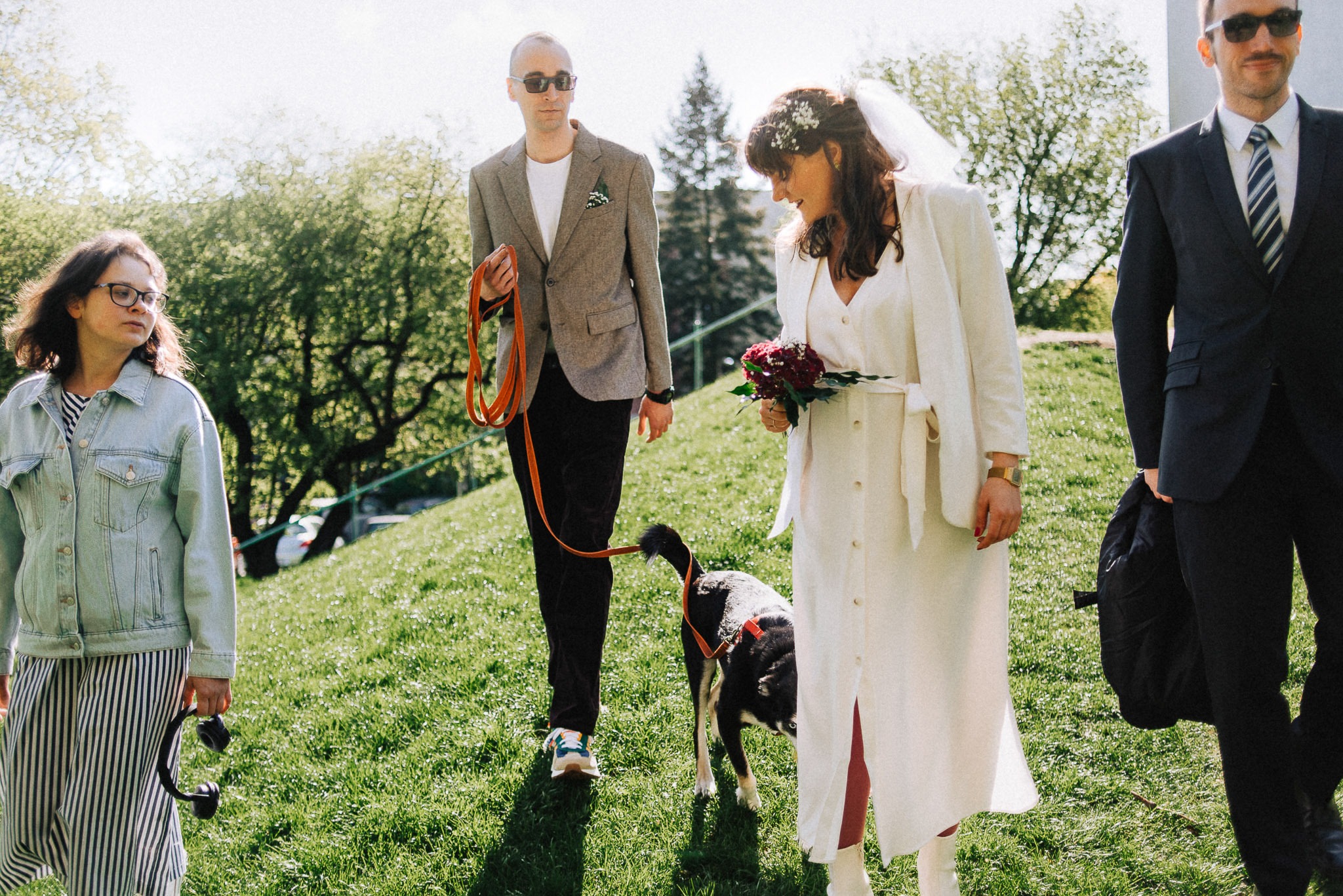 Para młoda z psem na spacerze po zielonym wzgórzu w towarzystwie gości, panna młoda w białym garniturze i welonie trzyma bordowy bukiet.