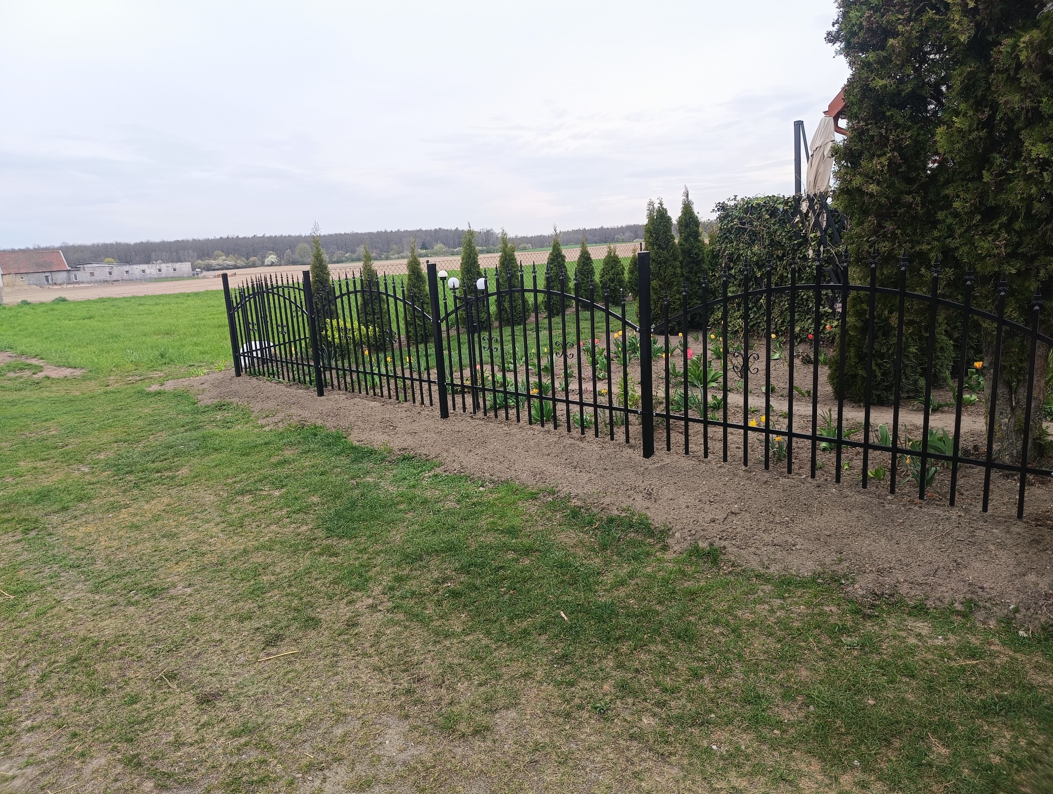 Czarny, metalowy płot z ozdobnymi elementami, oddzielający ogród z tujami i kwiatami od łąki z budynkami w tle, świeżo obsypany ziemią.
