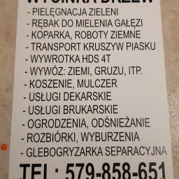 Wycinka drzew Kłaj 4