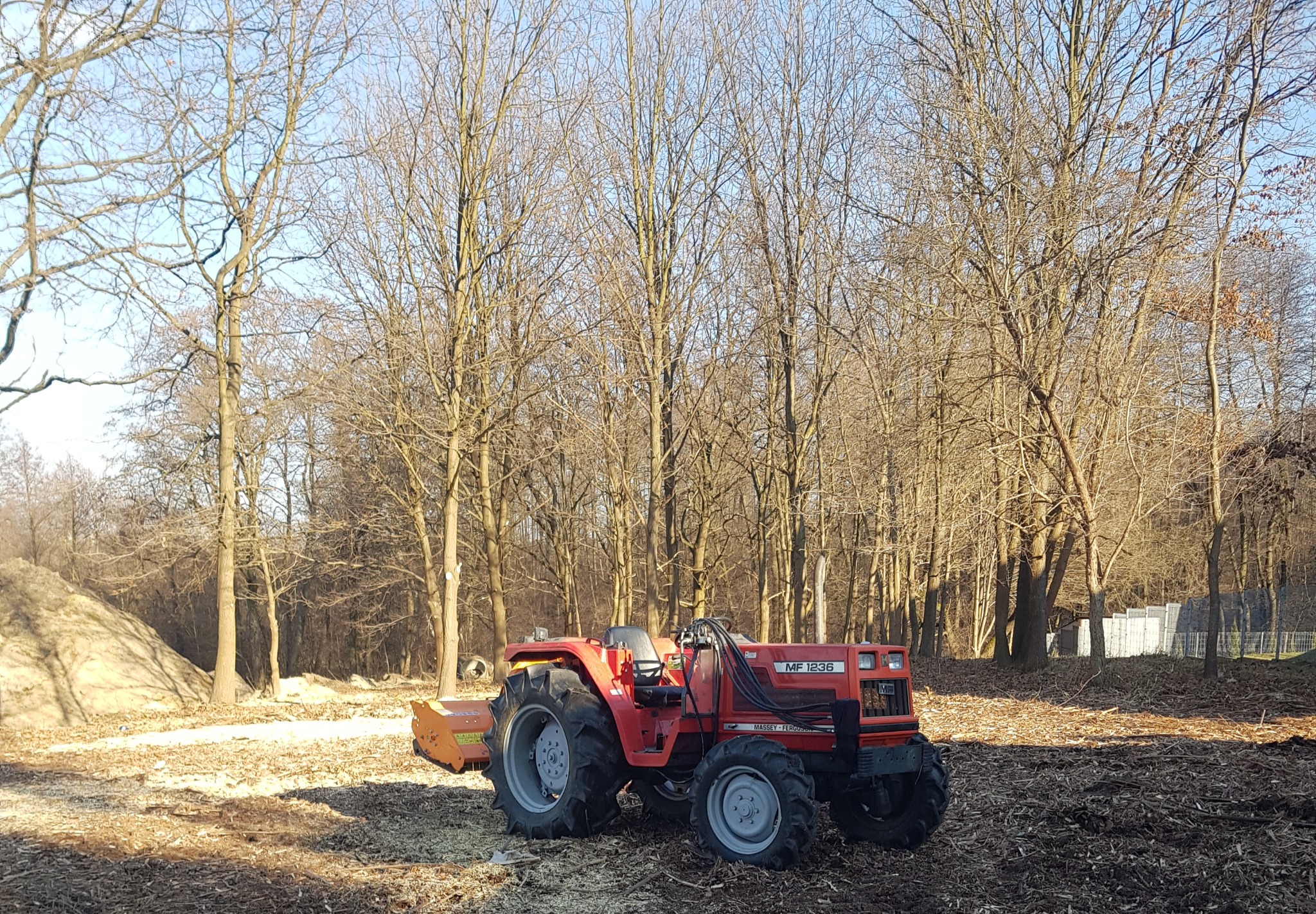 Czerwony traktor Massey Ferguson MF 1236 z glebogryzarką na polu z resztkami po wycince drzew, w tle las bezlistny i pryzma ziemi.