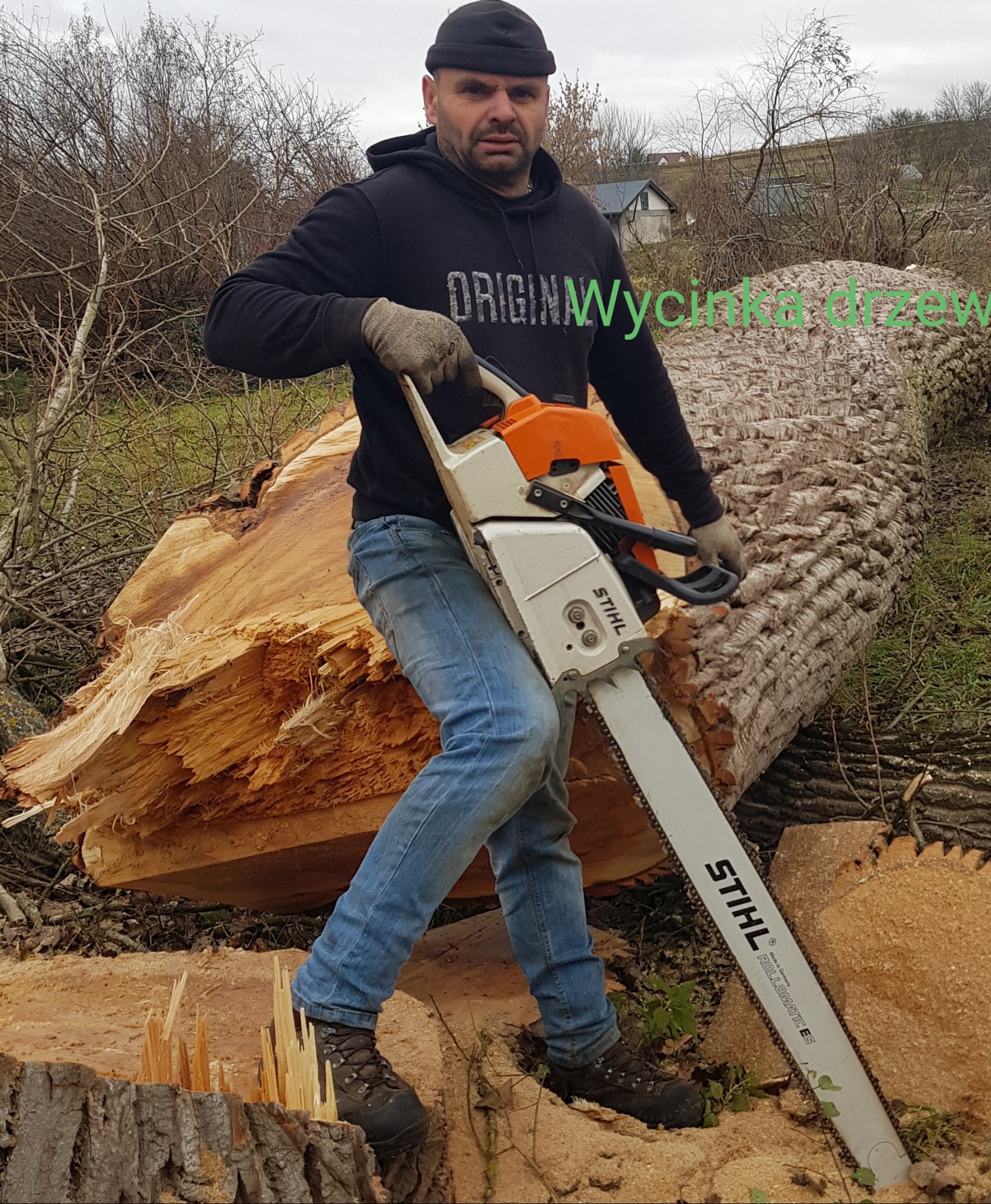 Mężczyzna w czapce i bluzie z napisem 'ORIGINAL' pozuje z piłą spalinową Stihl na tle ściętego pnia drzewa z widocznymi śladami cięcia.