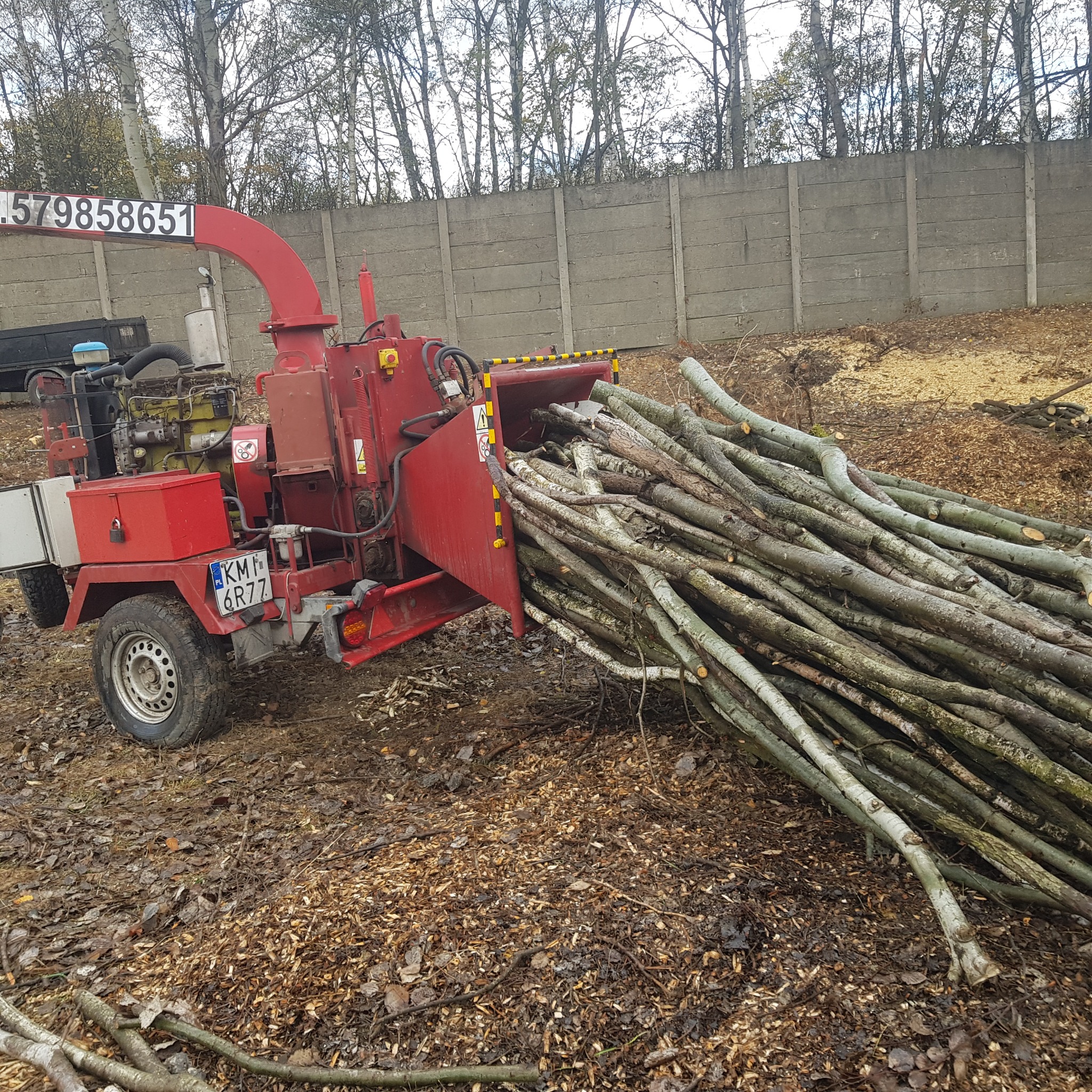 Czerwona rębarka do gałęzi z numerem telefonu na boku, załadowana świeżo ściętymi gałęziami, otoczona zrębkami i błotnistym terenem.