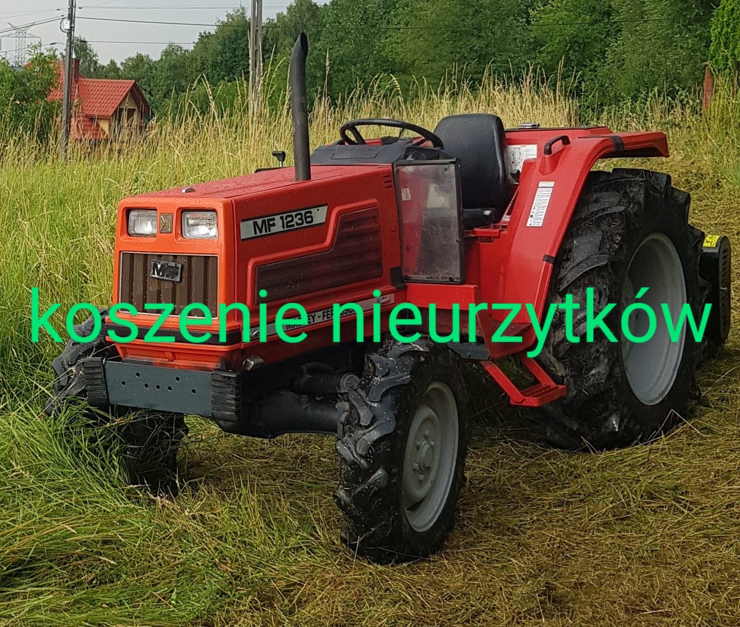 Czerwony traktor MF 1236 na polu z częściowo skoszoną trawą, widoczny dom w tle.