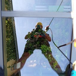 Lavador Łukasz Biazik - Pracownik w kasku, zabezpieczony linami, myje szklaną elewację budynku z widocznym odbiciem roślinności i nieba.