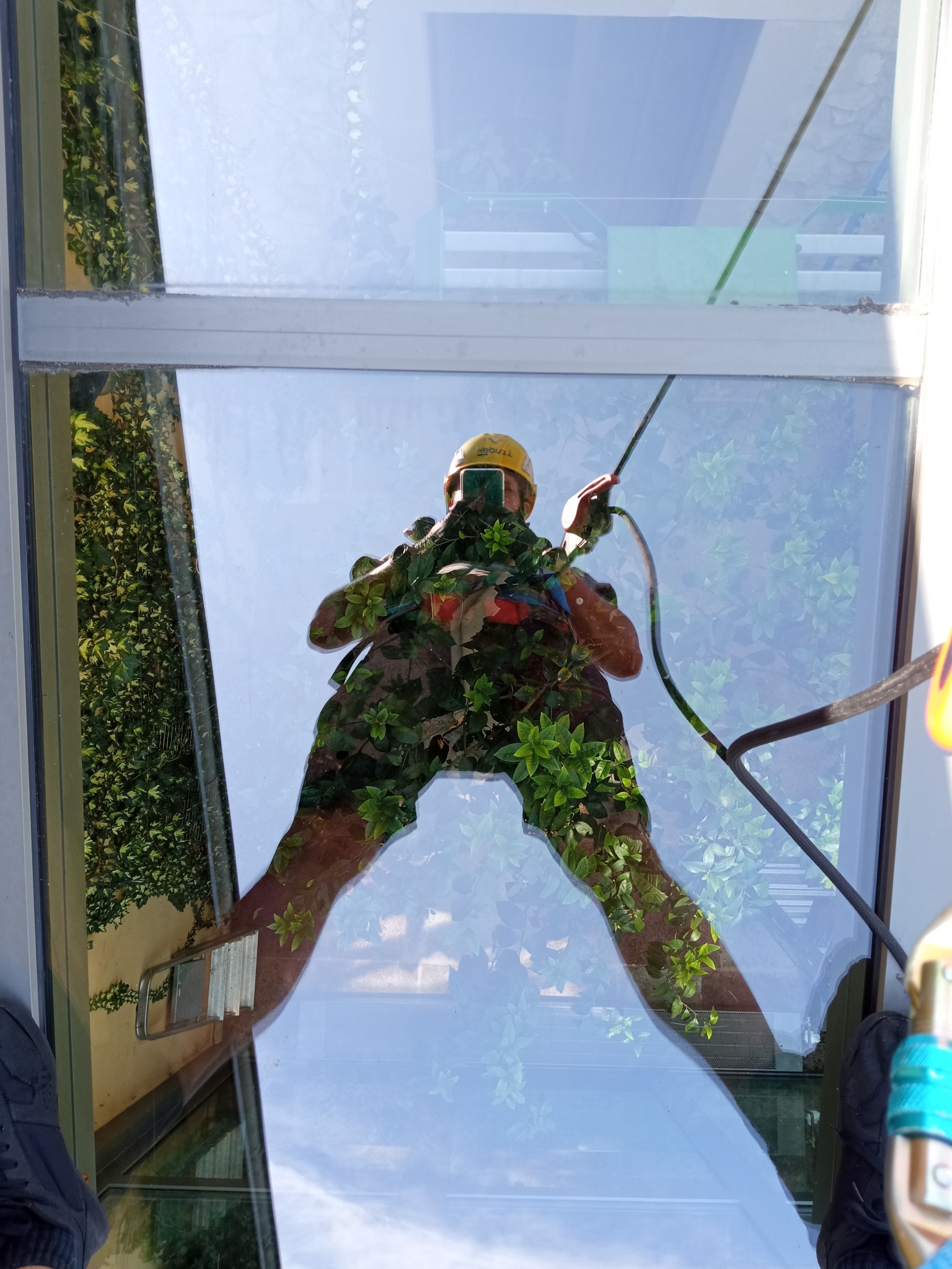 Pracownik w kasku, zabezpieczony linami, myje szklaną elewację budynku z widocznym odbiciem roślinności i nieba.