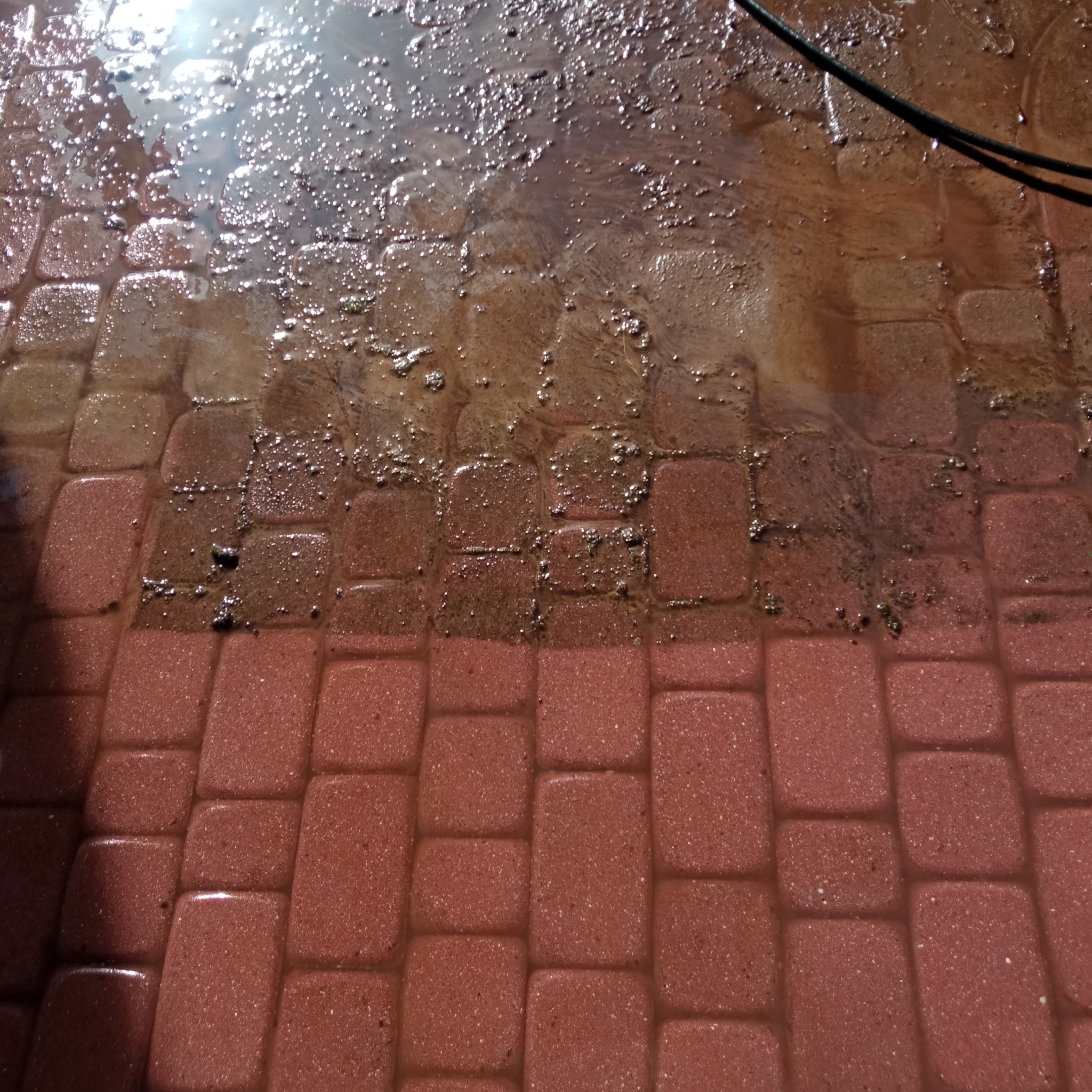 Częściowo umyta, mokra kostka brukowa w odcieniach czerwieni, z widocznym kontrastem między czystą a brudną powierzchnią.