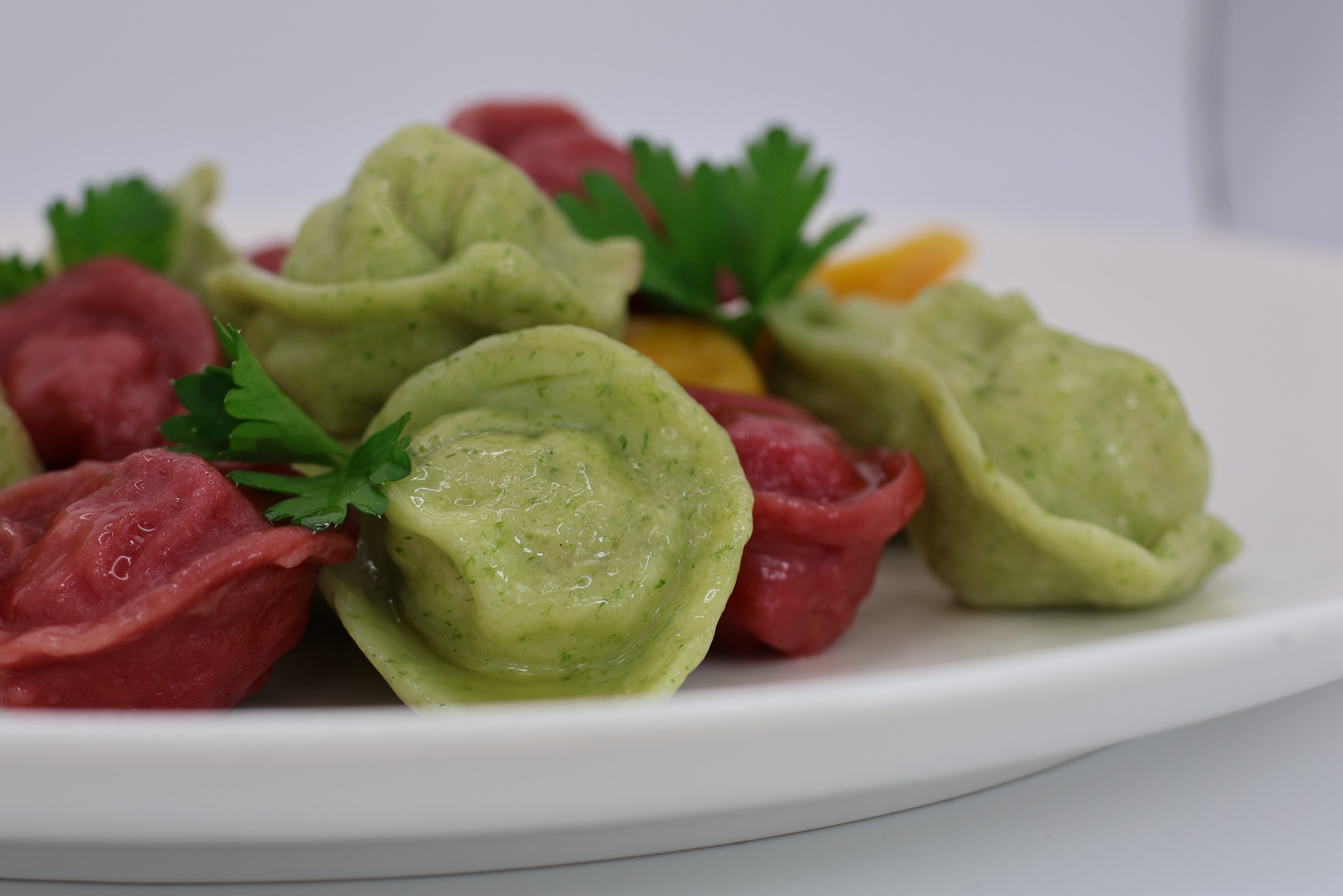 Ręcznie robione, kolorowe pierożki tortellini (zielone, czerwone) udekorowane świeżą pietruszką na białym talerzu.